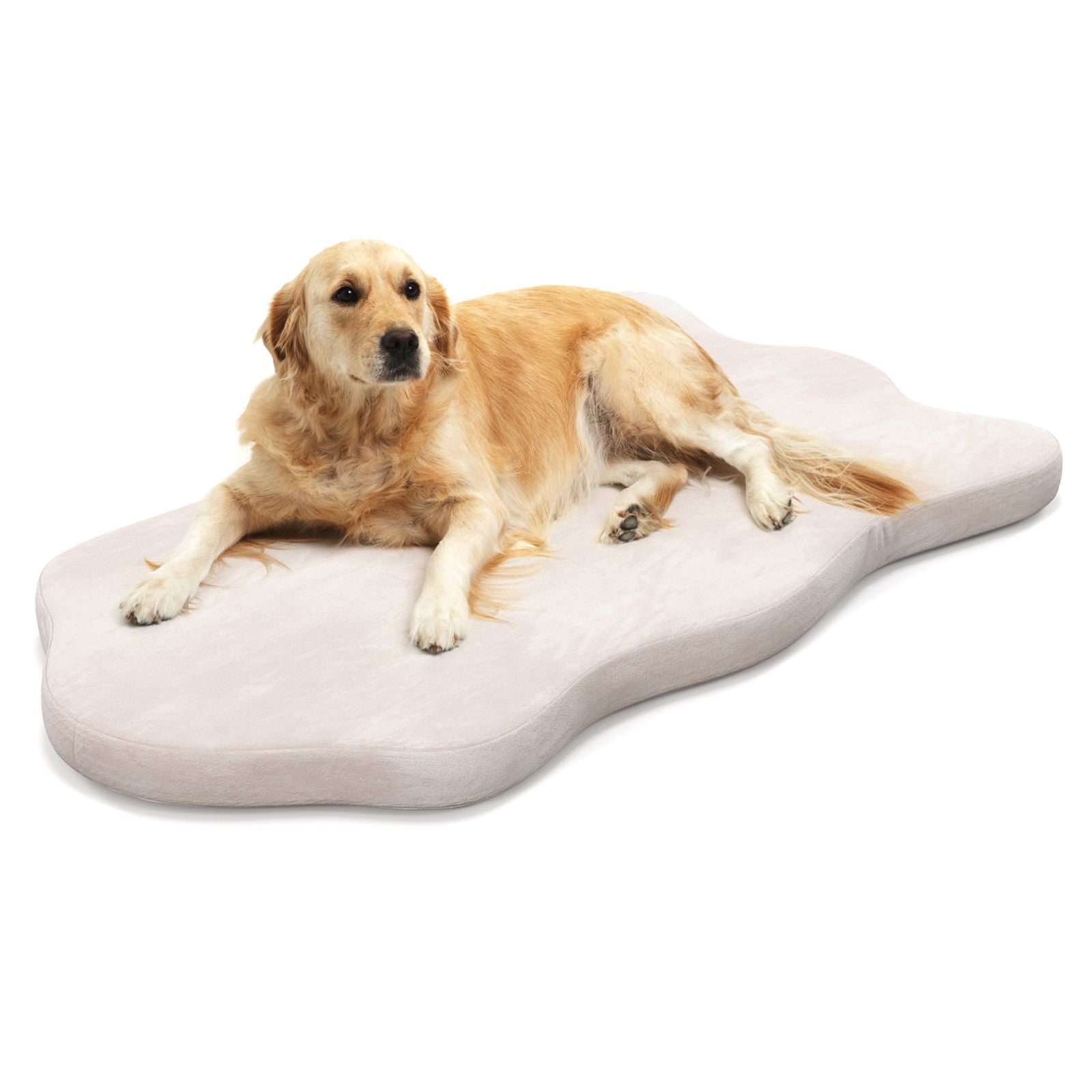 Luxury Memory Foam Dog Bed with Waterproof Cover - Extra Large Orthopaedic Pet Mattress (110x66cm)